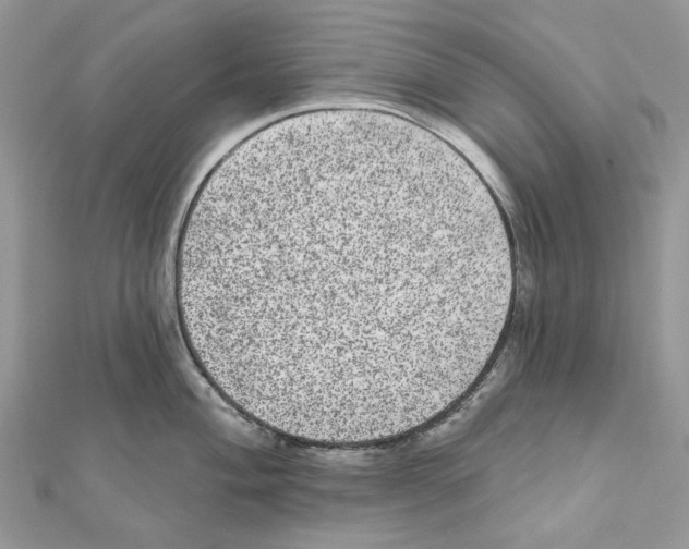 X0000111641004200908281153