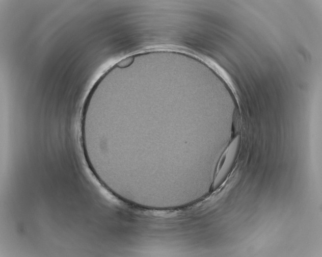 X0000111641005200908281153
