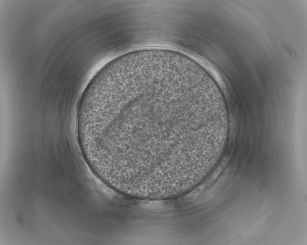 X0000111641006200908281153