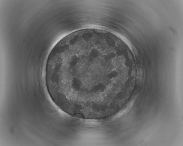 X0000111641007200908281153