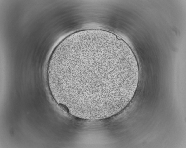 X0000111641008200908281153