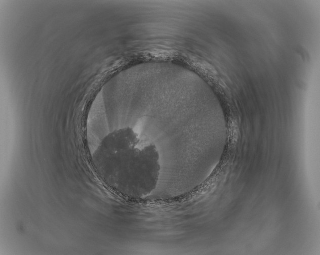 X0000111641009200908281152