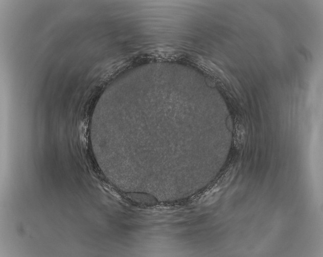 X0000111641010200908281152
