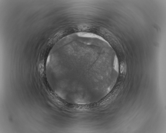 X0000111641011200908281152