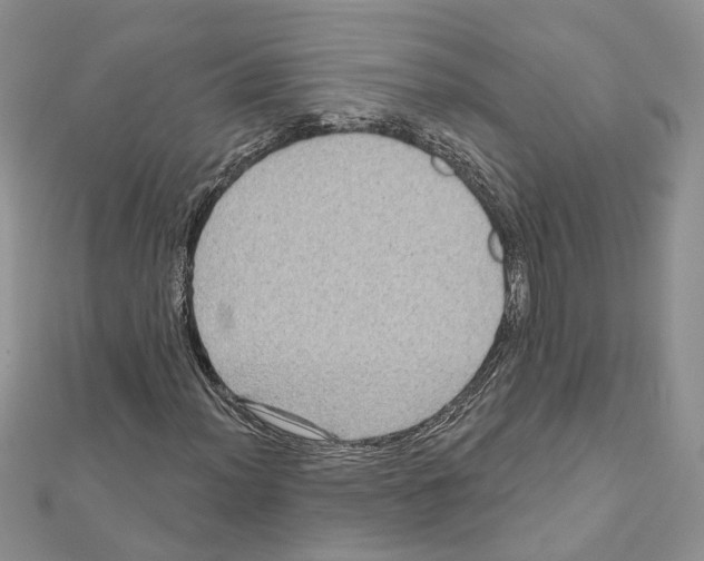 X0000111641012200908281152