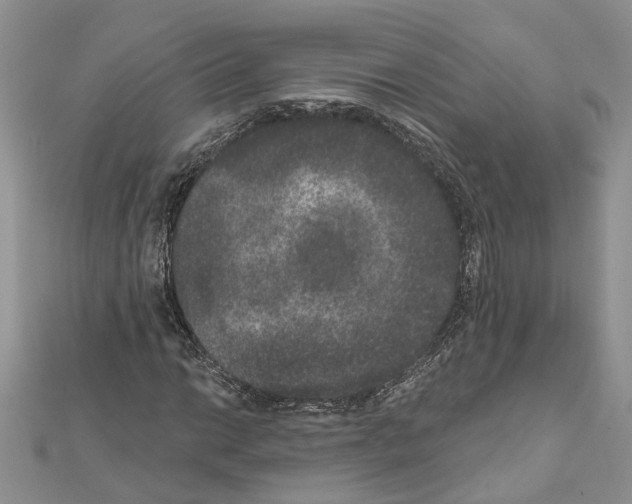 X0000111641014200908281152