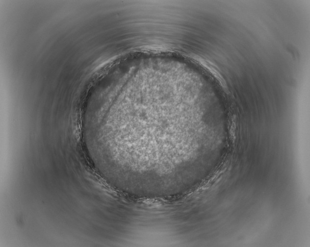 X0000111641015200908281152