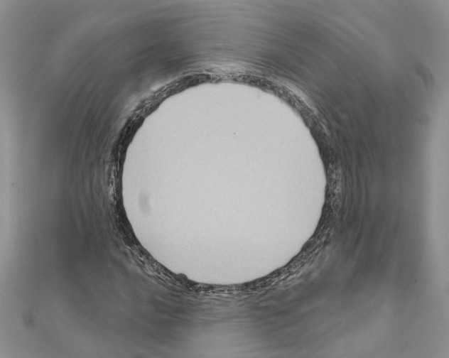 X0000111641016200908281152