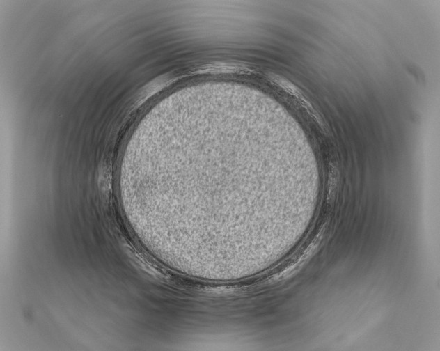 X0000111641017200908281152