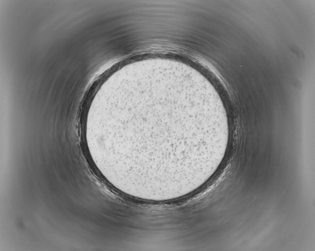 X0000111641018200908281153