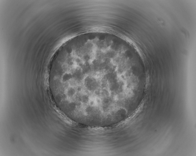 X0000111641019200908281153