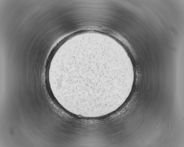 X0000111641020200908281153
