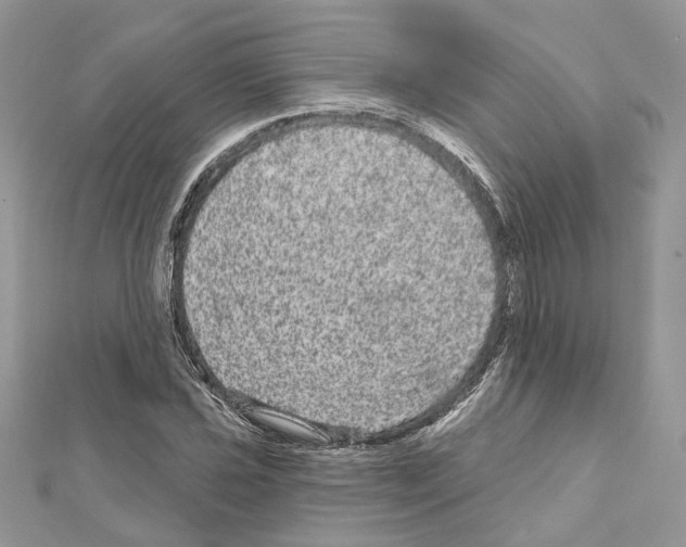 X0000111641021200908281153
