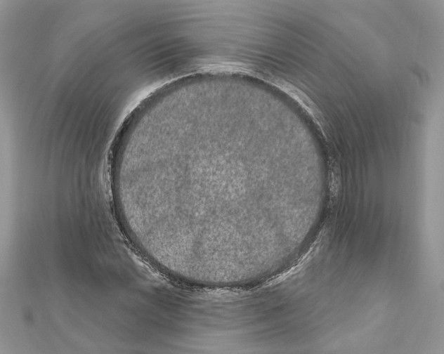 X0000111641022200908281153