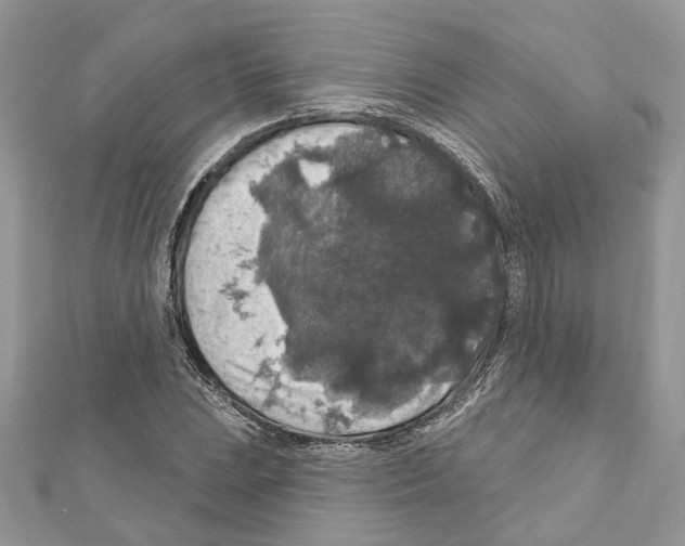 X0000111641023200908281153