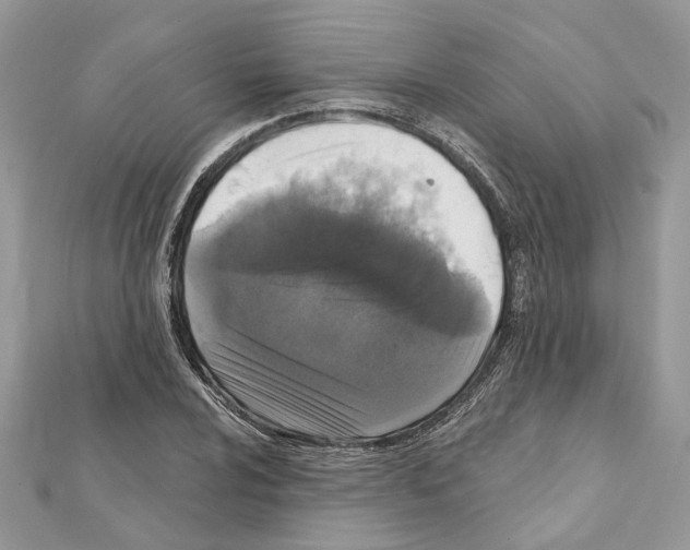 X0000111641024200908281153