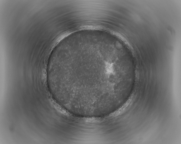 X0000111641025200908281153