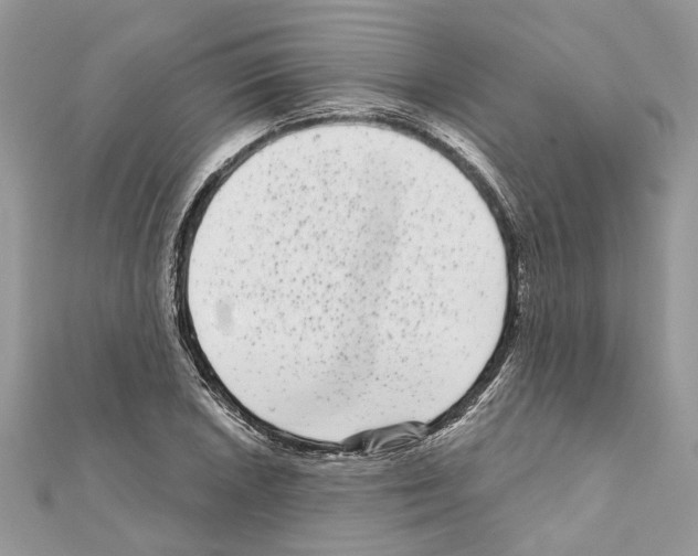X0000111641026200908281153