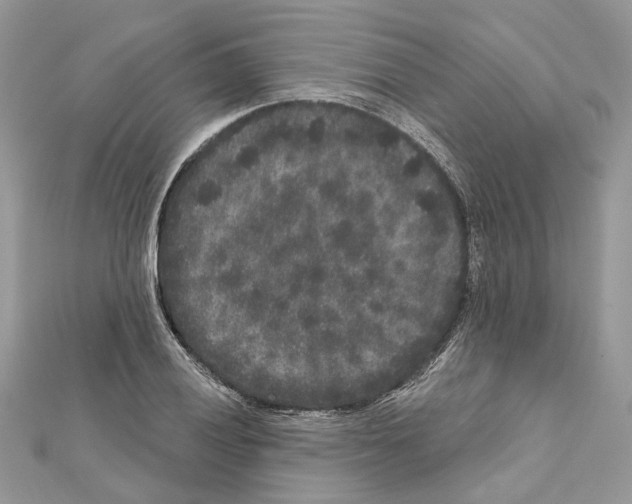 X0000111641028200908281153