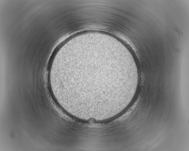 X0000111641029200908281153