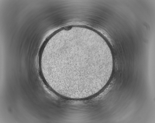 X0000111641030200908281153