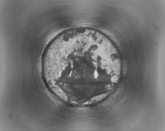 X0000111641031200908281153