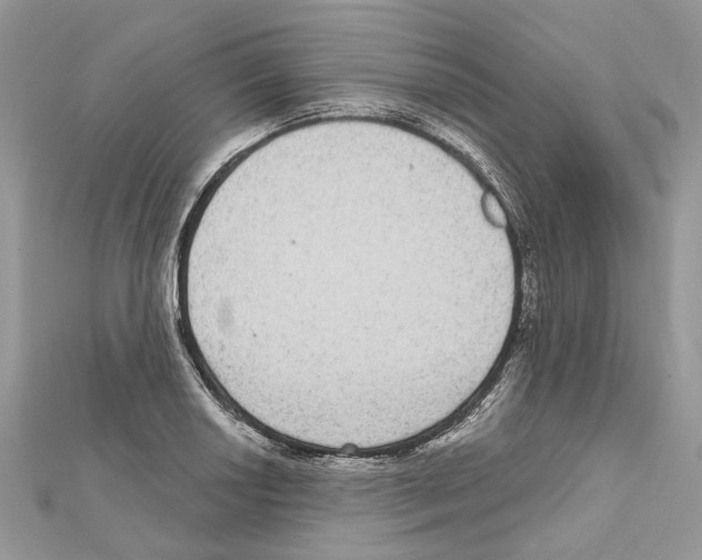 X0000111641034200908281153
