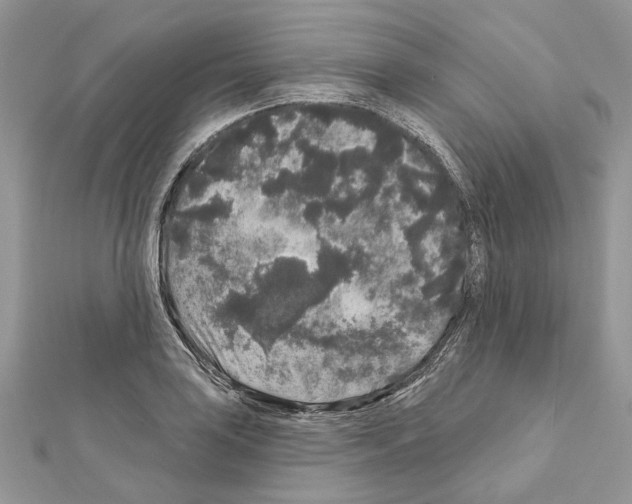 X0000111641035200908281153