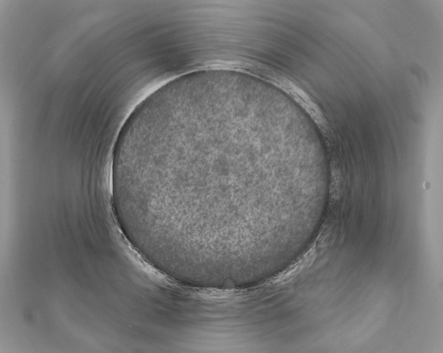 X0000111641036200908281153