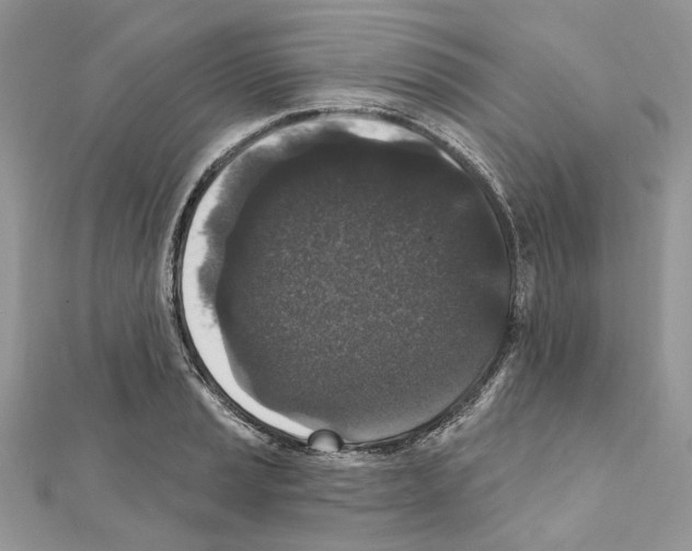 X0000111641037200908281153