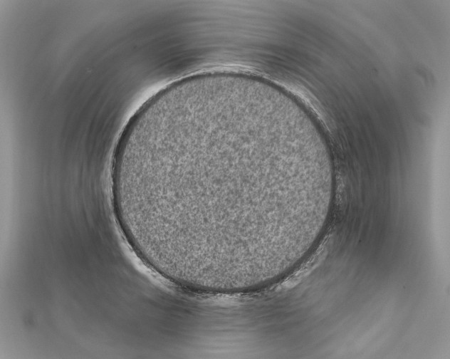 X0000111641038200908281153