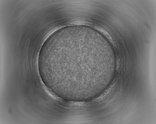 X0000111641039200908281153
