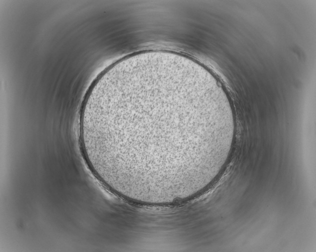 X0000111641040200908281153