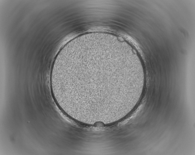 X0000111641041200908281153