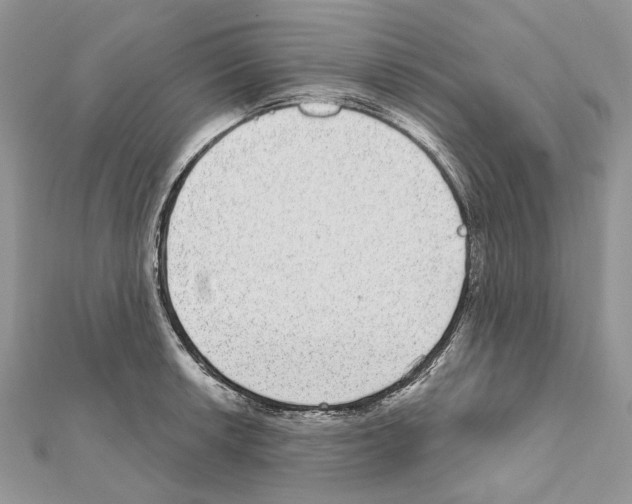 X0000111641042200908281153