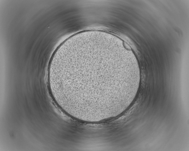 X0000111641044200908281153