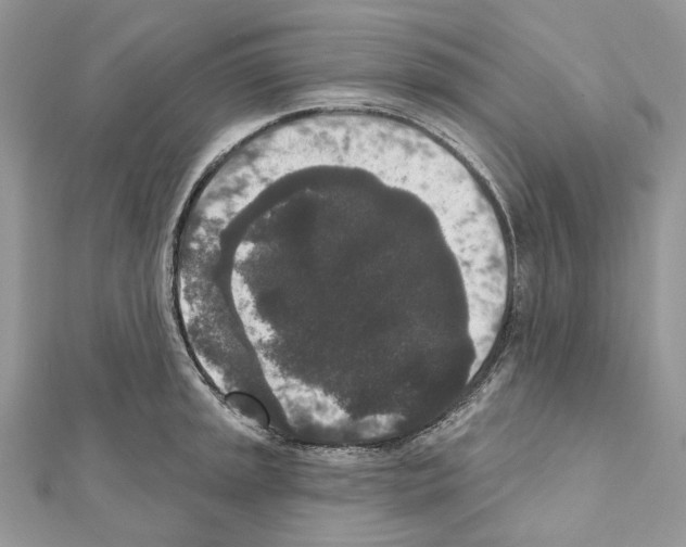 X0000111641045200908281153