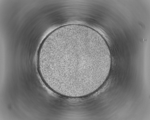 X0000111641046200908281153