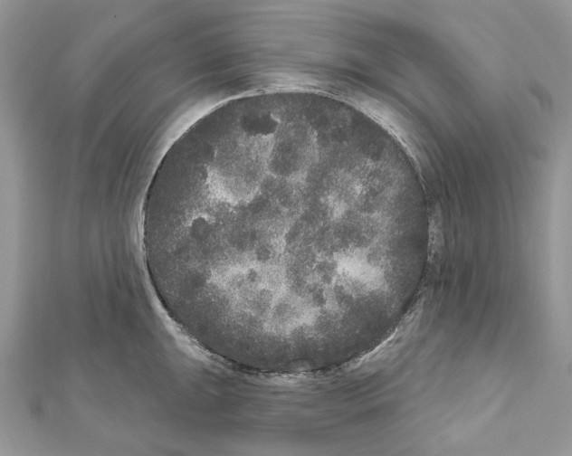 X0000111641047200908281153