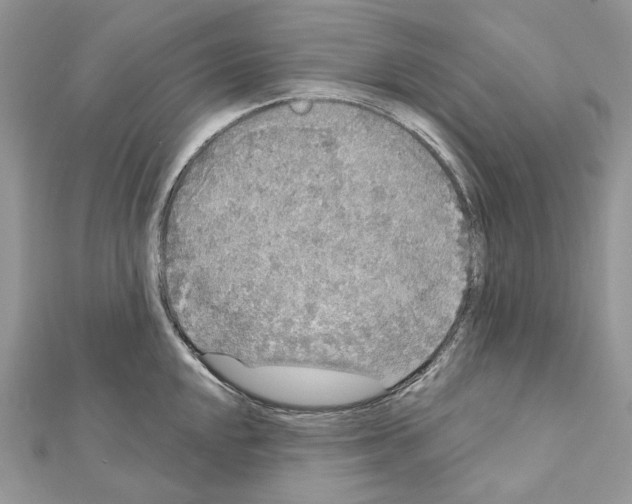 X0000111641048200908281153