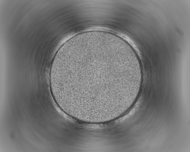 X0000111641049200908281153
