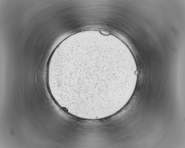 X0000111641050200908281153