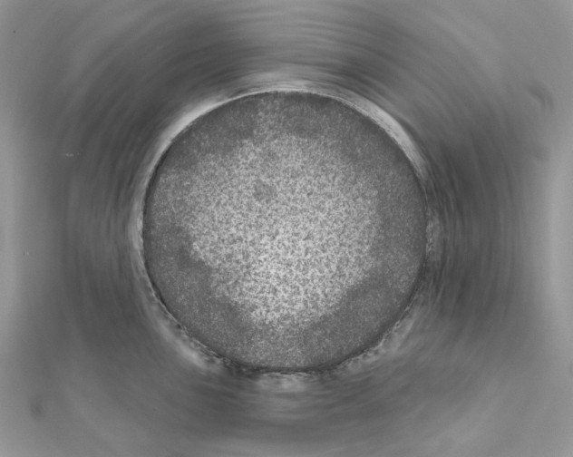 X0000111641051200908281153