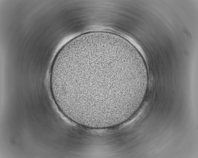 X0000111641053200908281153