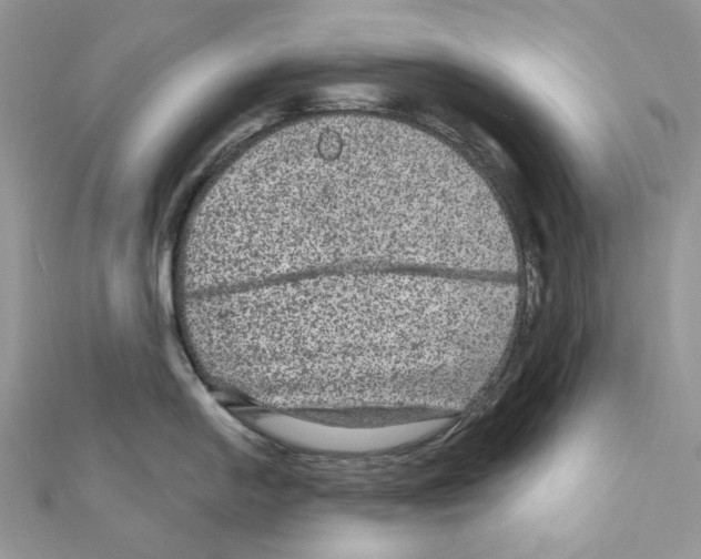 X0000111641054200908281153