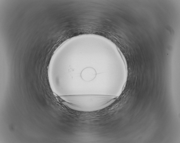 X0000111641057200908281152