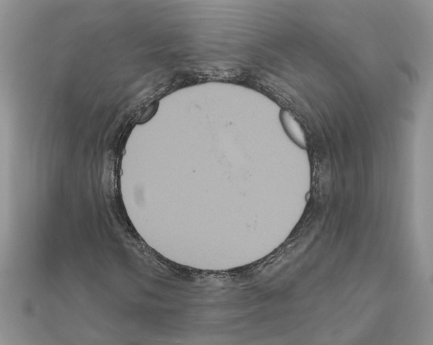 X0000111641058200908281152