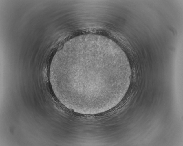X0000111641060200908281152