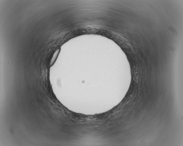 X0000111641061200908281152