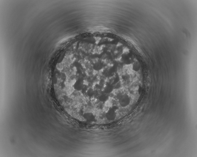 X0000111641063200908281152
